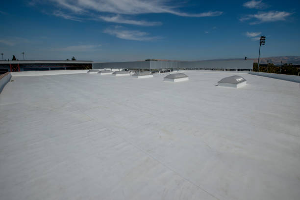 Best Flat Roofing  in Lake Ripley, WI