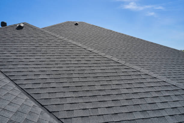 Best Roof Leak Repair  in Lake Ripley, WI